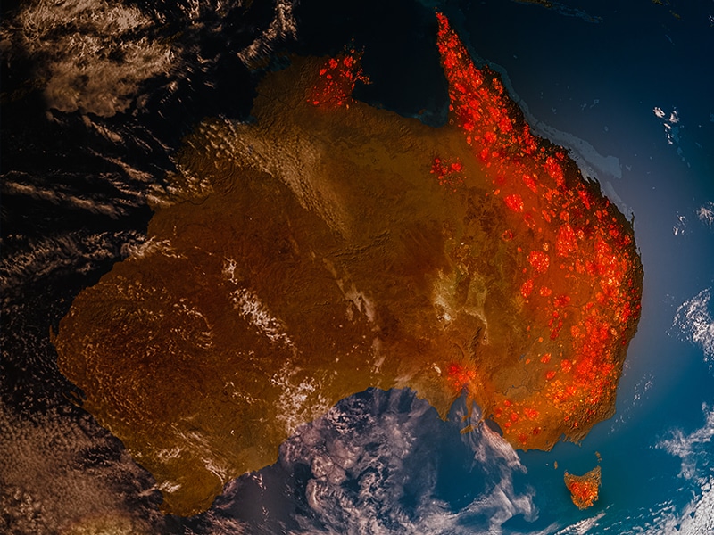 Ketan Joshi interview. Australia: how the devastating bush fires are making the government reform