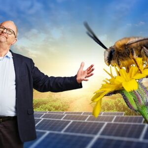 Banner-mega-solar-farms-boosting-biodiversity-pc181