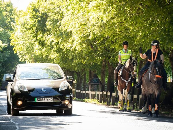 Study shows how horses react to approaching EVs