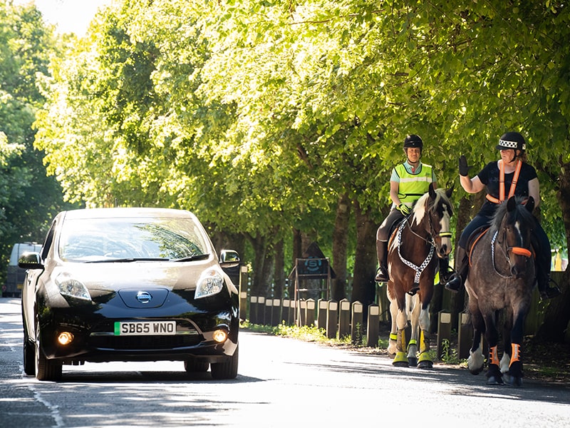 Study shows how horses react to approaching EVs