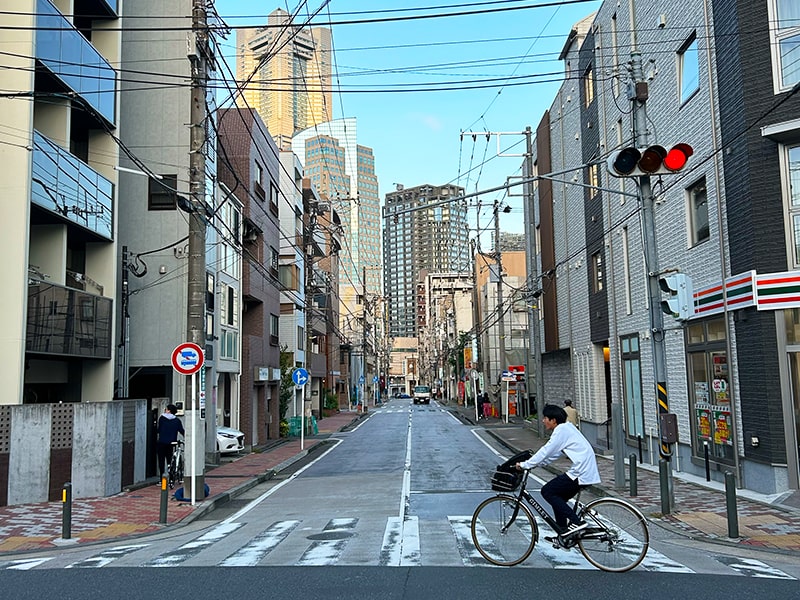 Unravelling Japan's EV Puzzle – Japanese Electric Cars