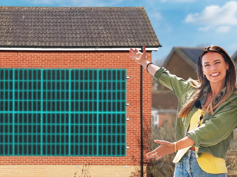 Wall-Mounted Solar Panels! £0 Bills + £120 a Year PROFIT!